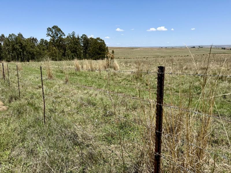 0 Bedroom Property for Sale in Tweeling Free State
